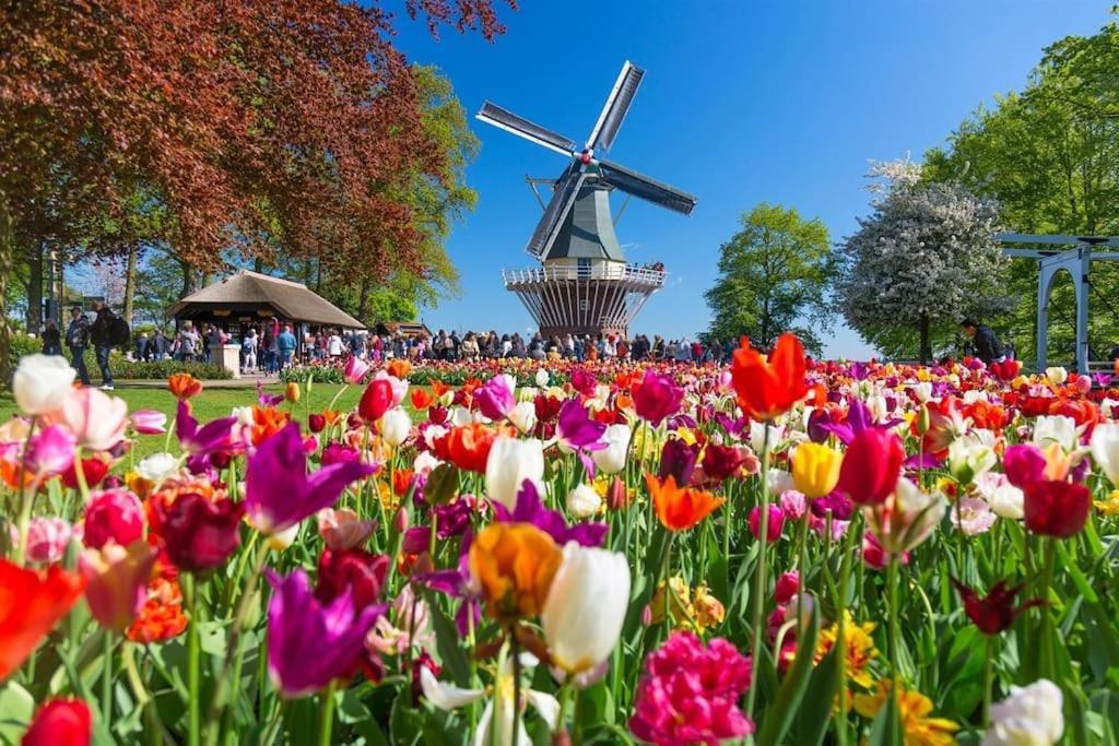 The West Wing Bloemendaal Leilighet Eksteriør bilde